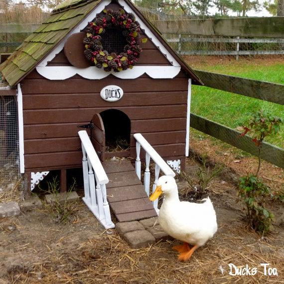 Best ideas about DIY Duck House Plans
. Save or Pin Gingerbread Duck House Plans PDF Room in Coop for up to 6 Now.
