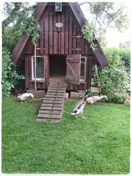 Best ideas about DIY Duck House
. Save or Pin 37 Free DIY Duck House Coop Plans & Ideas that You Can Now.