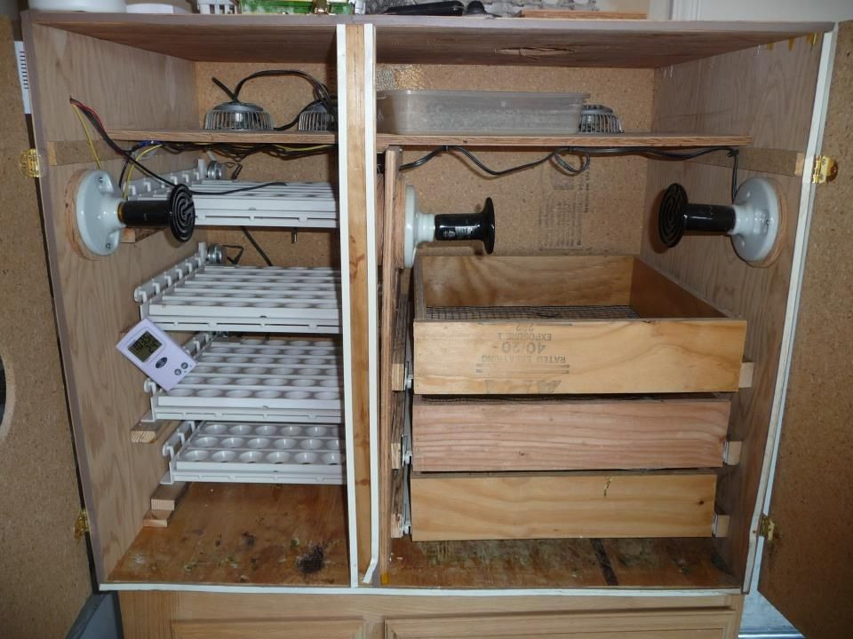 Best ideas about DIY Egg Incubator
. Save or Pin Incubator Future Projects Now.