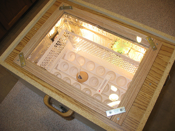 Best ideas about DIY Egg Incubator
. Save or Pin 20 Homemade Incubators For Hatching Chicken Eggs Now.