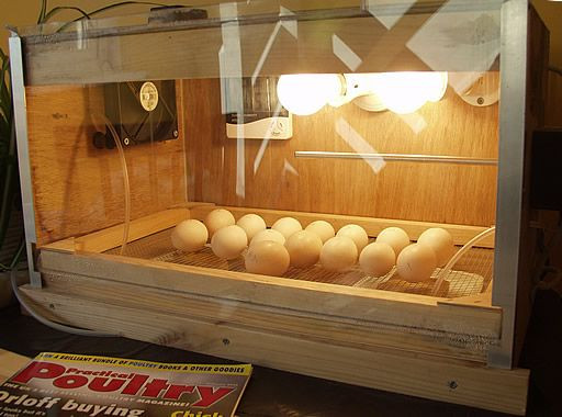 Best ideas about DIY Egg Incubator
. Save or Pin Homemade Incubator My Farm Now.