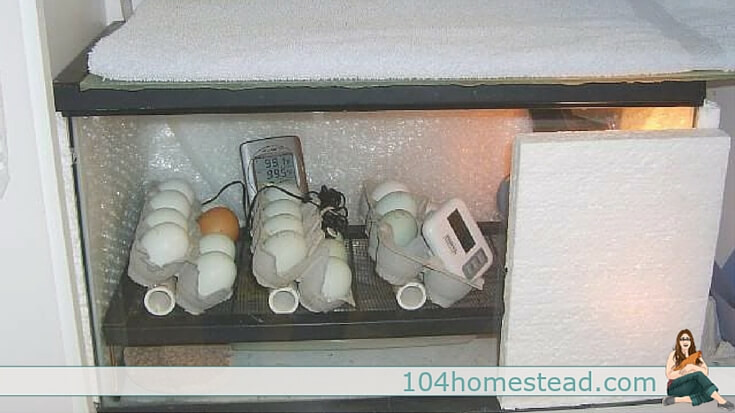 Best ideas about DIY Egg Incubator
. Save or Pin Do it Yourself Incubator Ideas Now.