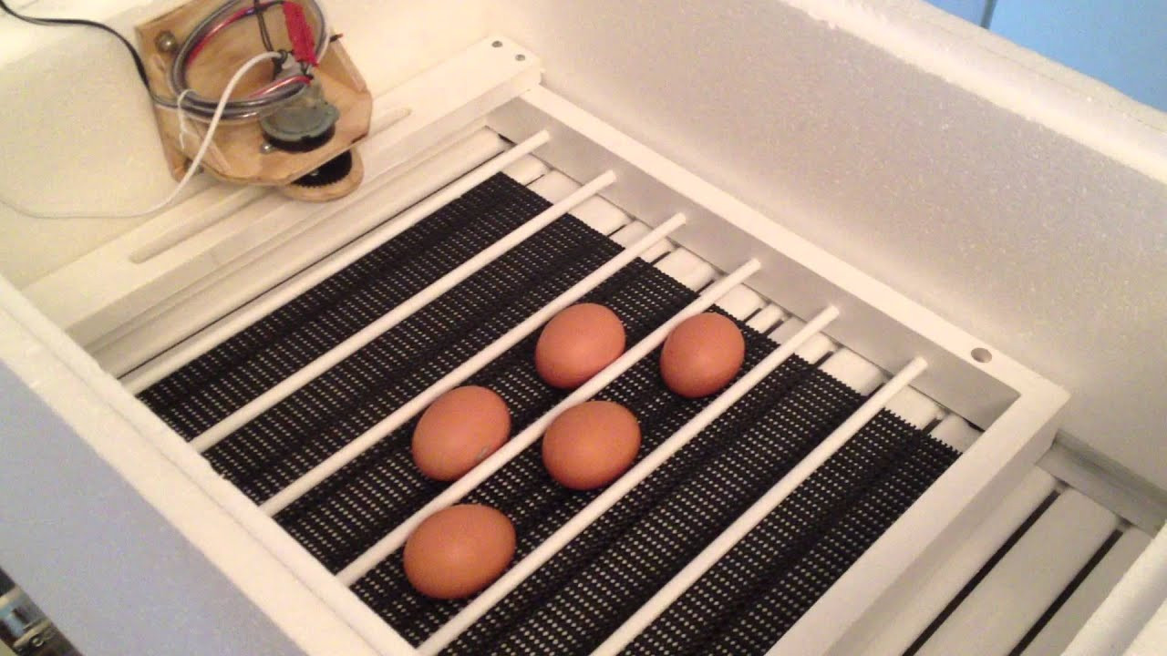 Best ideas about DIY Egg Incubator
. Save or Pin DIY automatic egg turner IncuKit DC12 Now.