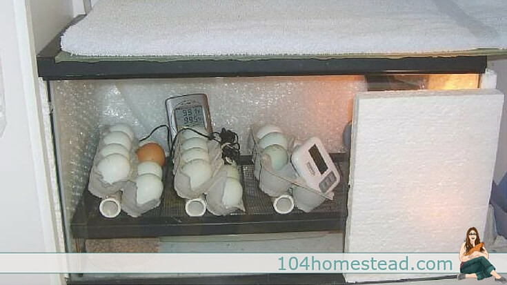 Best ideas about DIY Egg Incubators
. Save or Pin Do it Yourself Incubator Ideas Now.