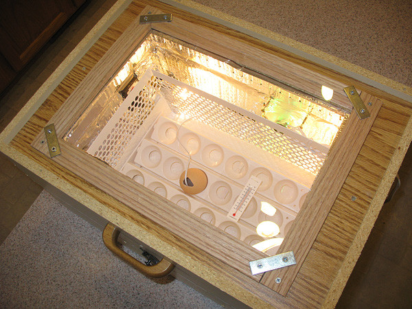 Best ideas about DIY Egg Incubators
. Save or Pin 20 Homemade Incubators For Hatching Chicken Eggs Now.