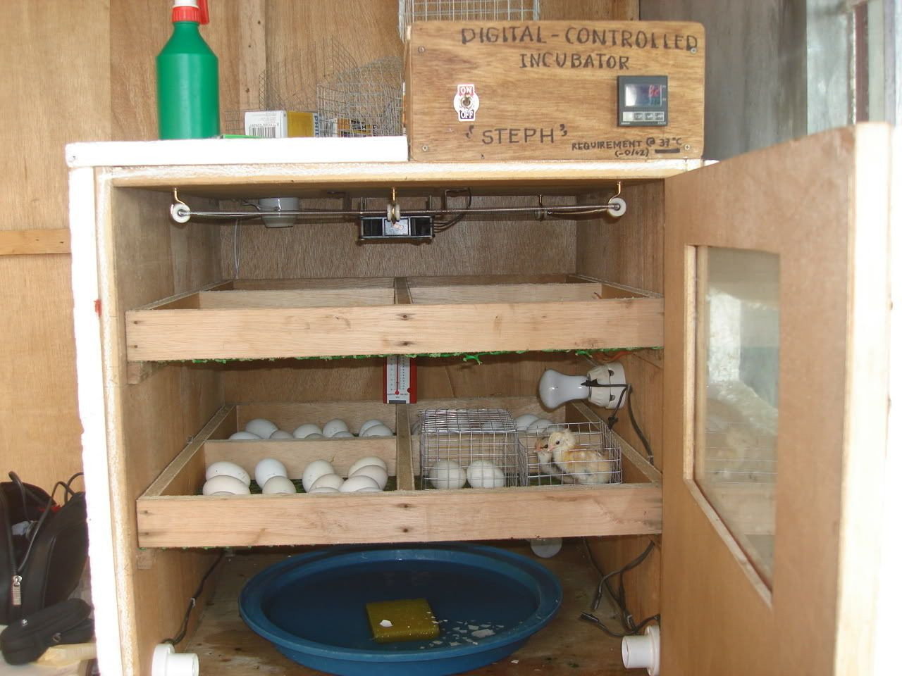 Best ideas about DIY Egg Incubators
. Save or Pin home made incubator Now.