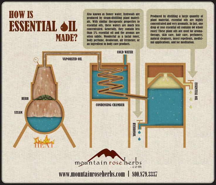 Best ideas about DIY Essential Oil Distiller
. Save or Pin 25 great ideas about Steam Distillation on Pinterest Now.