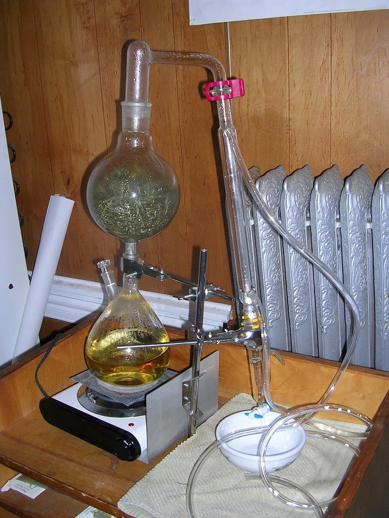Best ideas about DIY Essential Oil Distiller
. Save or Pin DIY distillers and where to distilling equipment for Now.