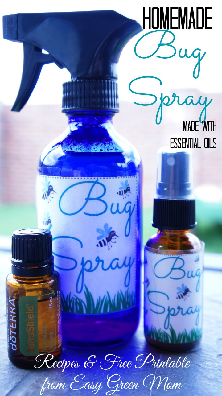 Best ideas about DIY Essential Oil
. Save or Pin Natural Homemade Insect Sprays and Traps Now.