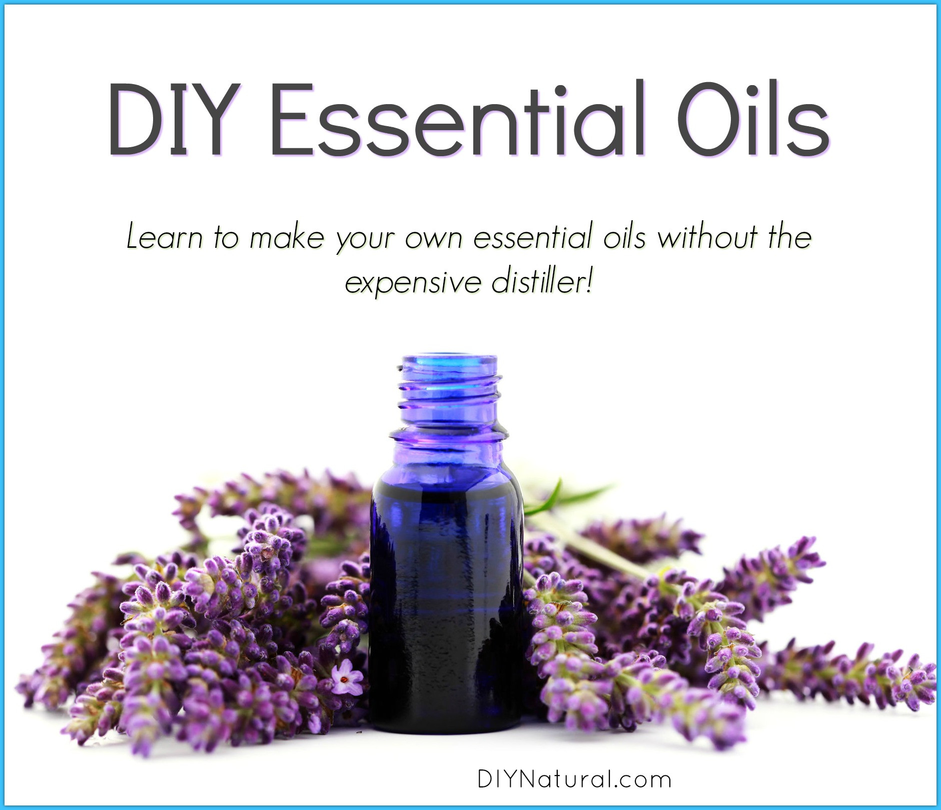 Best ideas about DIY Essential Oils
. Save or Pin DIY Essential Oils Learn How To Make Your Own Essential Oils Now.