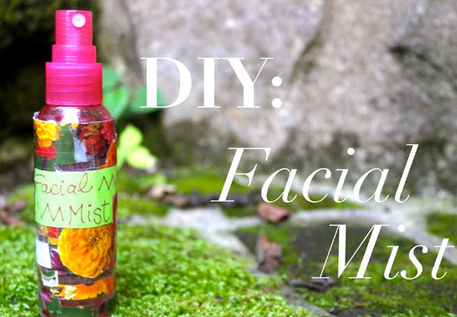 Best ideas about DIY Face Mist
. Save or Pin Make Your Skin Glow With Homemade Face Mist For Dry Now.