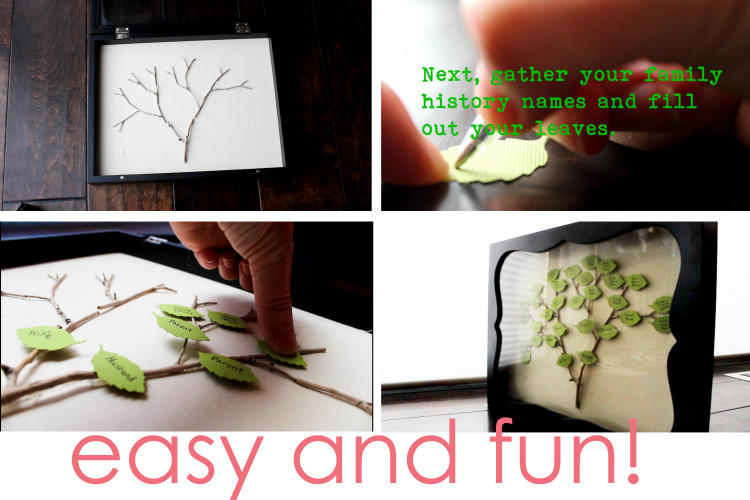 Best ideas about DIY Family Tree
. Save or Pin DIY Family Tree Shadow Box The SITS Girls Now.