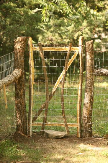 Best ideas about DIY Fence Gate
. Save or Pin Beautiful Rustic Dog Fence Now.