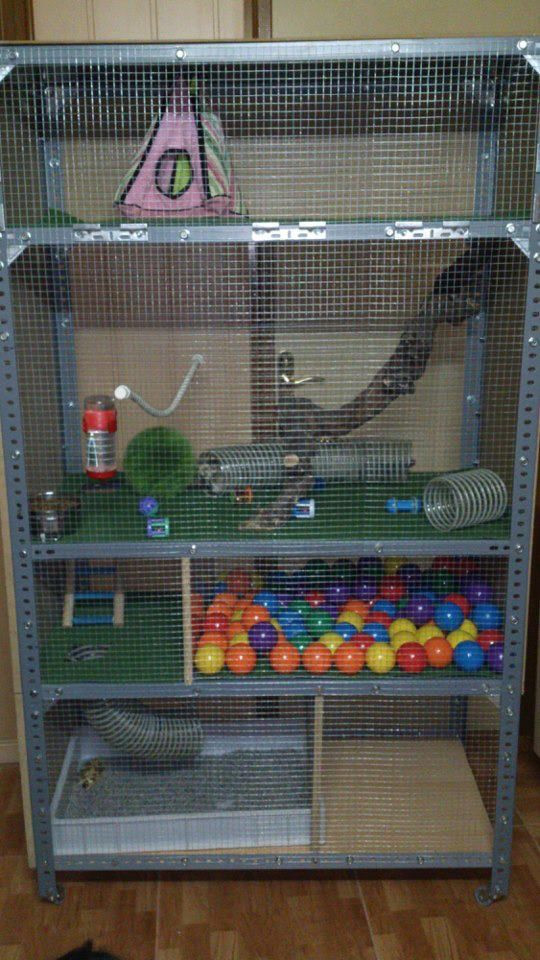 Best ideas about DIY Ferret Cage
. Save or Pin Best 20 Ferret Cage ideas on Pinterest Now.