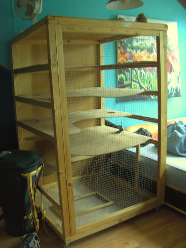 Best ideas about DIY Ferret Cage
. Save or Pin interesting DIY Ferret cage wood The doors might need Now.