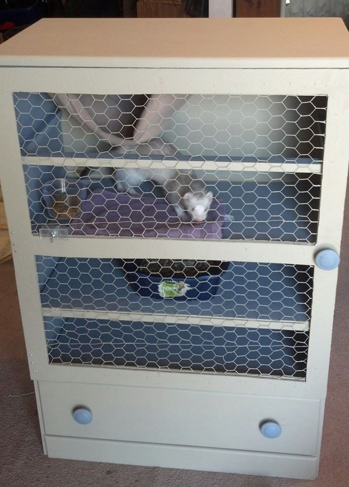 Best ideas about DIY Ferret Cage
. Save or Pin Old dresser turned ferret cage Cages & such Now.