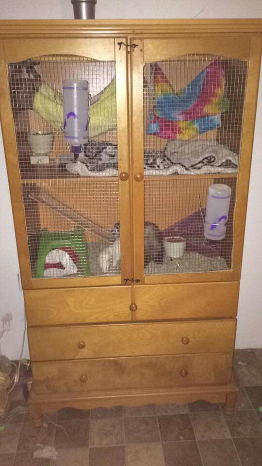 Best ideas about DIY Ferret Cage
. Save or Pin 17 Best ideas about Ferret Cage on Pinterest Now.