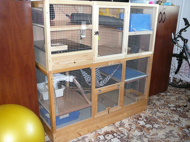 Best ideas about DIY Ferret Cage
. Save or Pin Have to have a cage like this Ferrets Now.