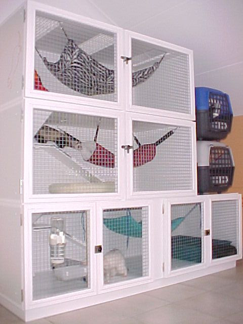 Best ideas about DIY Ferret Cage
. Save or Pin Best 25 Ferret cage ideas on Pinterest Now.