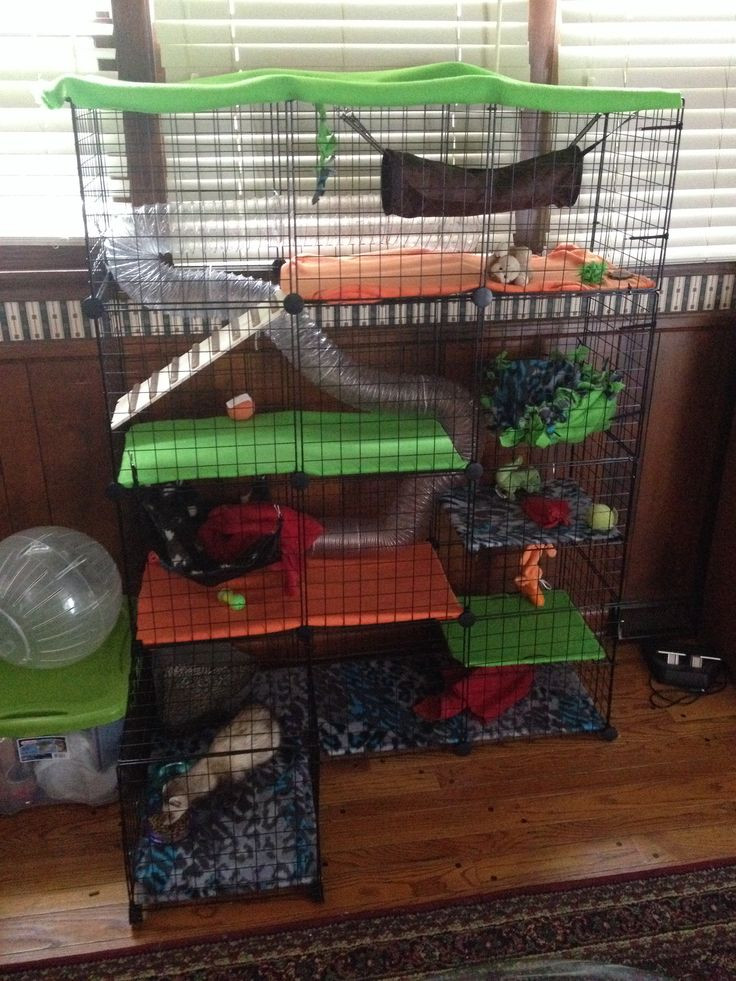 Best ideas about DIY Ferret Cage
. Save or Pin c&c cage for ferret DIY Ferret Cage Now.