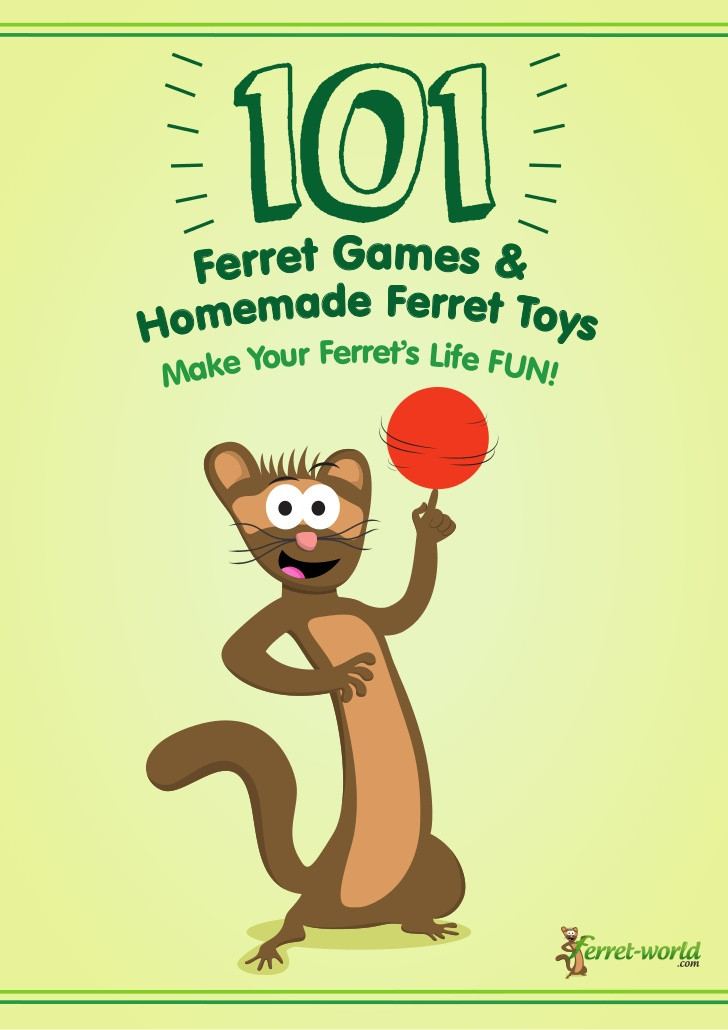 Best ideas about DIY Ferret Toys
. Save or Pin 101 Ferret Games & Homemade Ferret Toys Now.