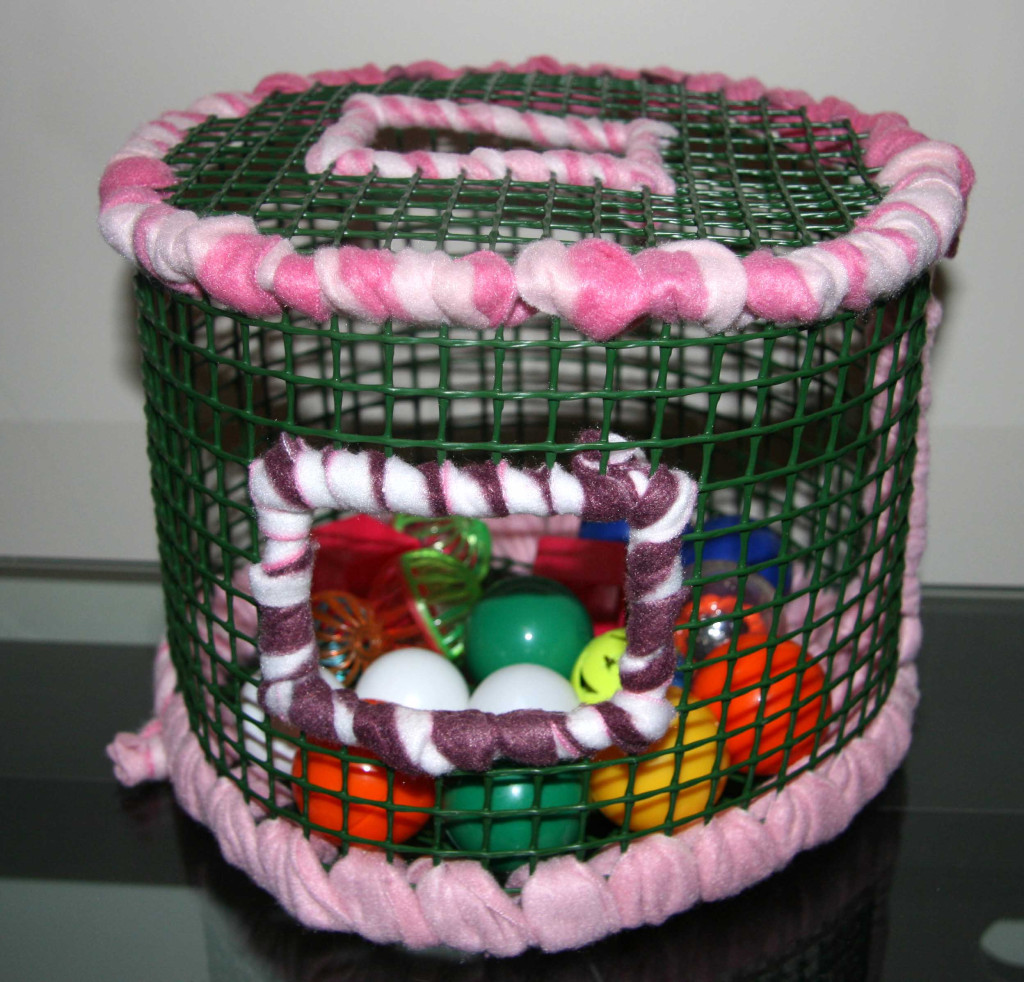 Best ideas about DIY Ferret Toys
. Save or Pin Best 25 Sugar glider toys ideas on Pinterest Now.