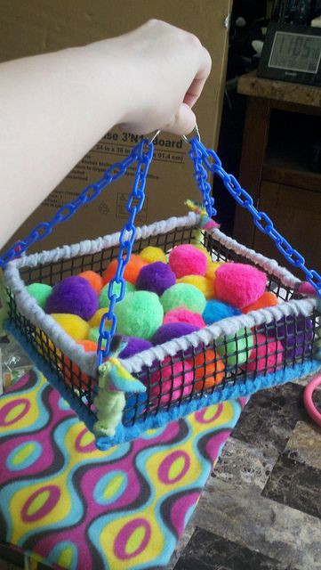 Best ideas about DIY Ferret Toys
. Save or Pin Sugar Glider Toys RATTIES & PIGGIES Now.