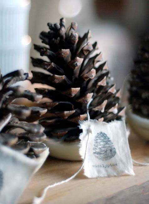 Best ideas about DIY Fire Starter
. Save or Pin DIY Pinecone Fire Starter – Design Sponge Now.