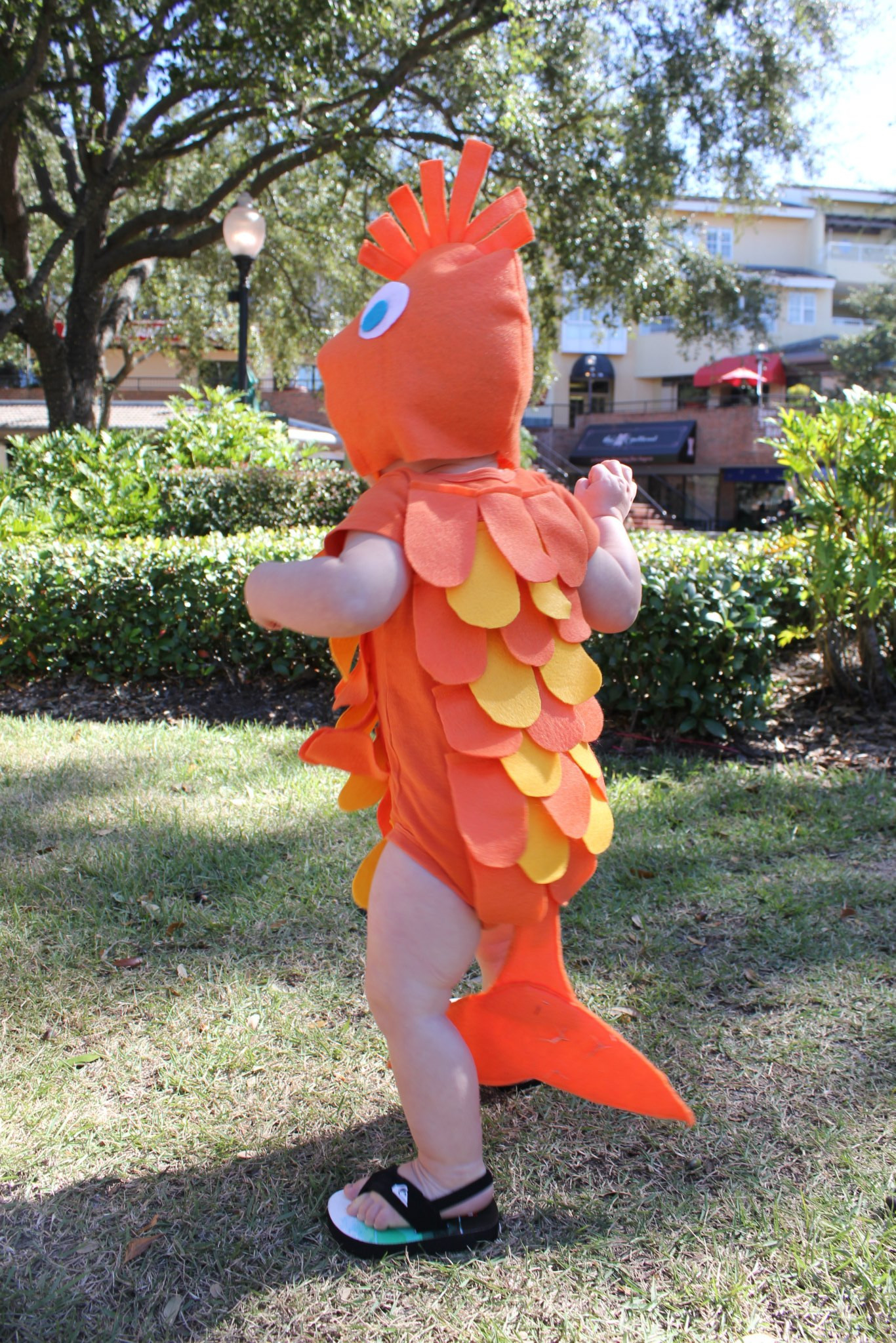 Best ideas about DIY Fish Costume
. Save or Pin DIY Fish Costume For the Family No Sewing Now.