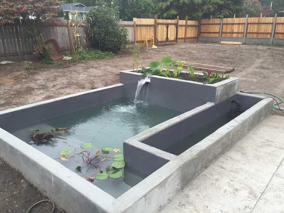 Best ideas about DIY Fish Pond
. Save or Pin Ecodur 201 DIY Pond Lining Project Castagra Now.