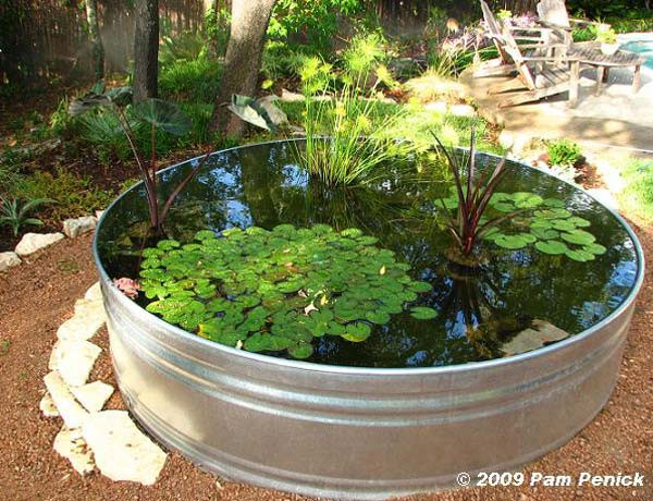 Best ideas about DIY Fish Pond
. Save or Pin 21 Fascinating Low Bud DIY Mini Ponds In a Pot Now.