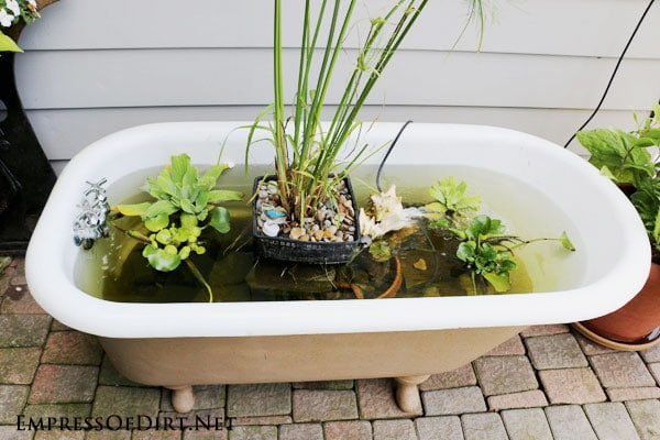 Best ideas about DIY Fish Pond
. Save or Pin How to Make a Bathtub Garden Pond Empress of Dirt Now.