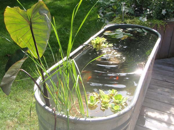Best ideas about DIY Fish Pond
. Save or Pin 21 Small Garden Backyard Aquariums Ideas That Will Now.