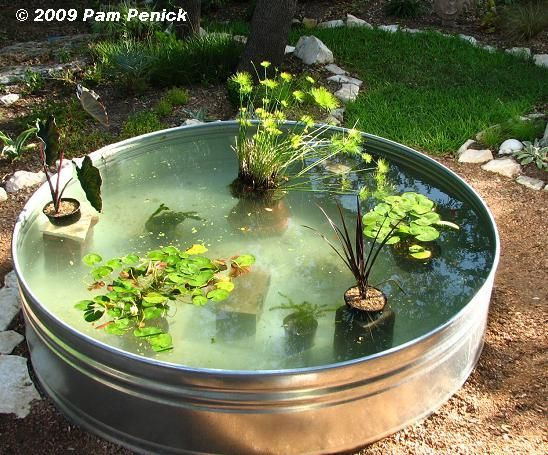 Best ideas about DIY Fish Pond
. Save or Pin made fish pond filter Now.