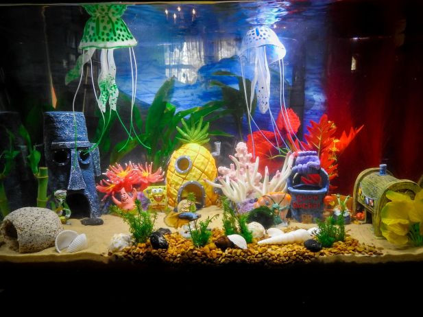 Best ideas about DIY Fish Tank Decor
. Save or Pin 50 Best DIY Aquarium Decorations Ideas meowlogy Now.