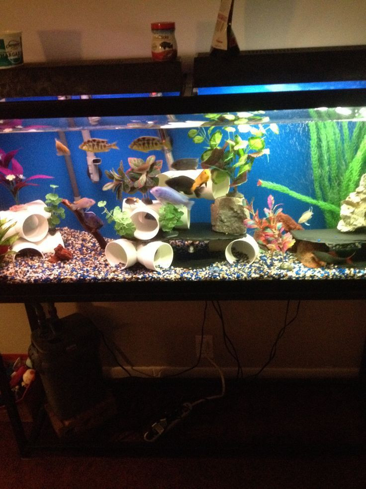 Best ideas about DIY Fish Tank Decorations
. Save or Pin 10 Gallon Fish Tank Stand Ideas For Your Aquarium Now.