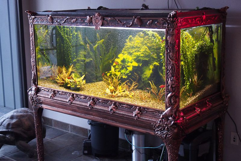 Best ideas about DIY Fish Tank Decorations
. Save or Pin 50 Best DIY Aquarium Decorations Ideas meowlogy Now.