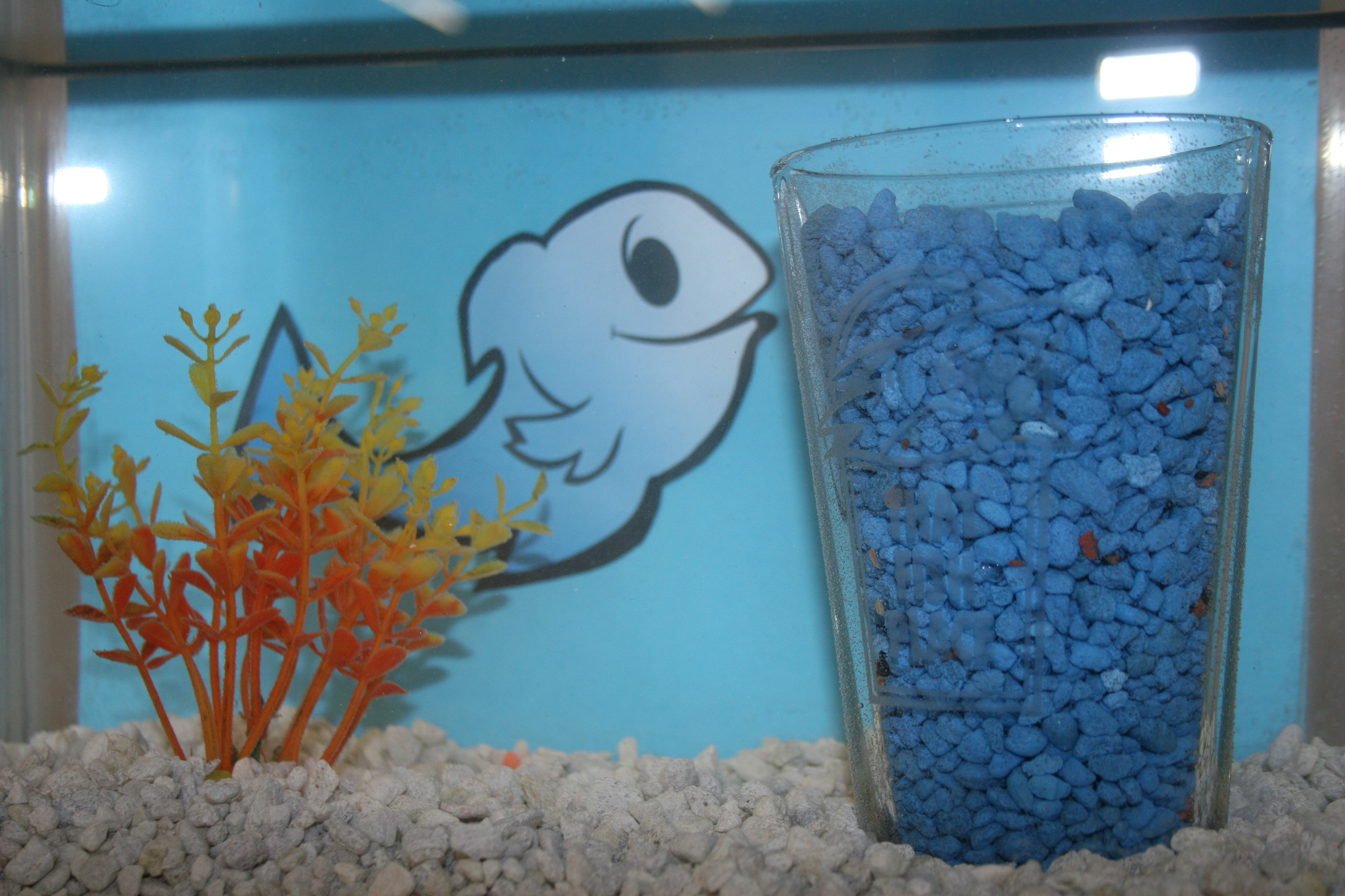 Best ideas about DIY Fish Tank Decorations
. Save or Pin Aquarium Decoration Ideas & DIY Fish Bowls Now.