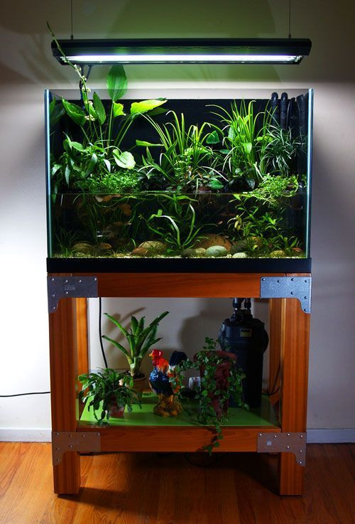 Best ideas about DIY Fish Tank Decorations
. Save or Pin Best 20 Fish tank stand ideas on Pinterest Now.