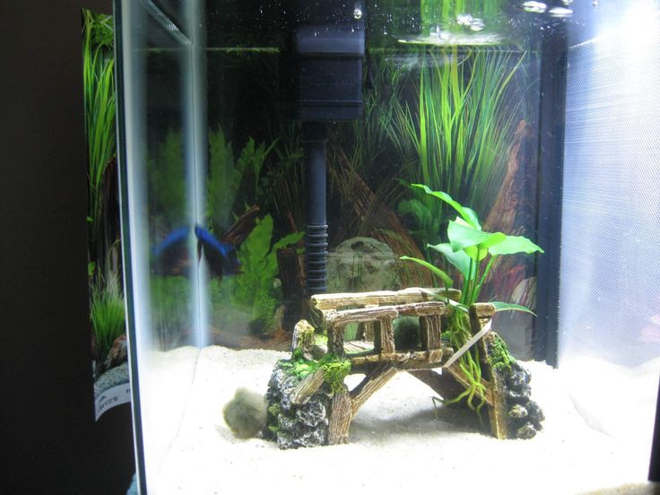 Best ideas about DIY Fish Tank Decorations
. Save or Pin Best 25 Fish aquarium decorations ideas on Pinterest Now.