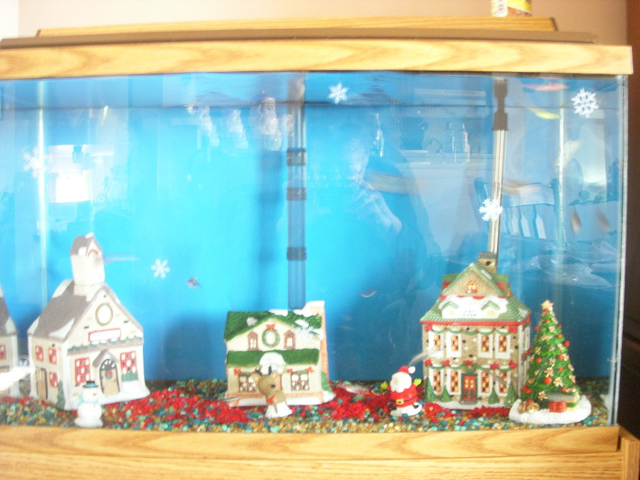 Best ideas about DIY Fish Tank Decorations
. Save or Pin DIY Fish Tank Christmas Decor petdiys Now.