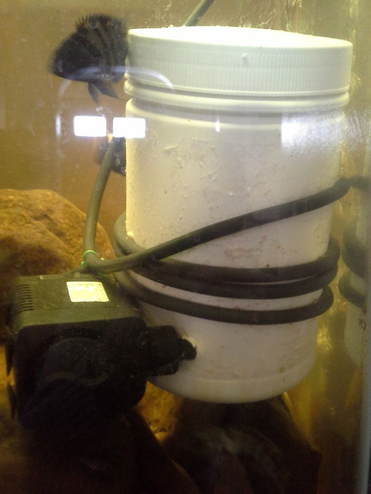 Best ideas about DIY Fish Tank Filter
. Save or Pin DIY Aquarium Filter from Pond or Fountain Pump Now.