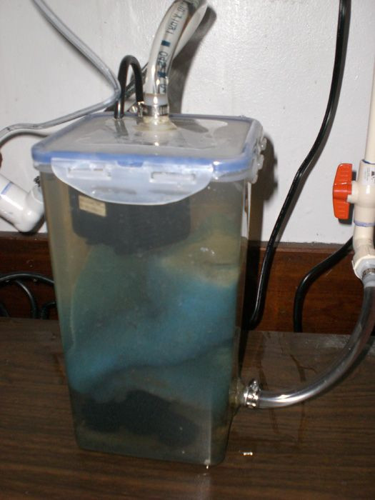 Best ideas about DIY Fish Tank Filter
. Save or Pin DIY aquarium filters Now.