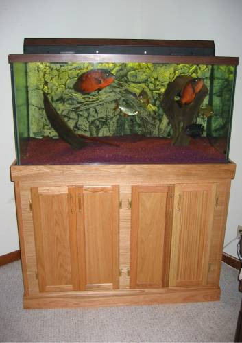 Best ideas about DIY Fish Tank Stand
. Save or Pin 28 DIY Aquarium Stands with Plans Now.