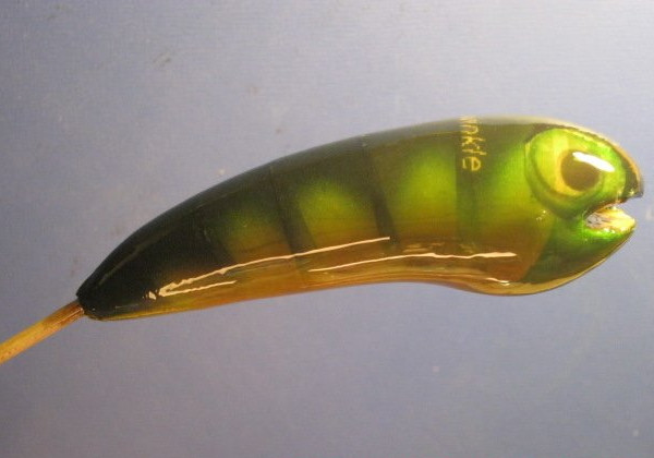 Best ideas about DIY Fishing Lures
. Save or Pin DIY Fishing Lures Now.