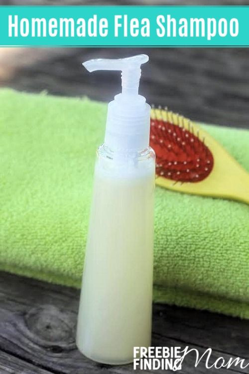 Best ideas about DIY Flea Bath
. Save or Pin Best 25 Flea shampoo ideas on Pinterest Now.