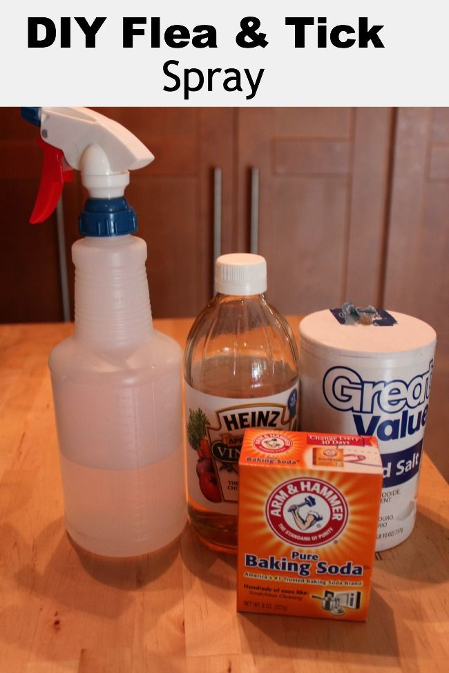 Best ideas about DIY Flea Killer
. Save or Pin Homemade Flea & Tick Spray for Pets Now.