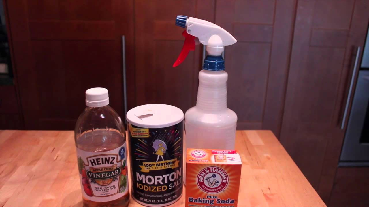 Best ideas about DIY Flea Killer
. Save or Pin Homemade Flea & Tick Repellent for Pets Now.