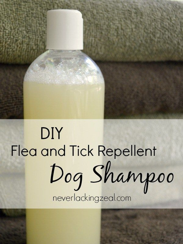 Best ideas about DIY Flea Shampoo
. Save or Pin 278 best images about Dogs on Pinterest Now.