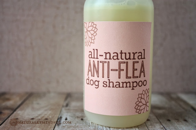 Best ideas about DIY Flea Shampoo
. Save or Pin 12 DIY Dog Shampoos for Soft and Healthy Fur Now.